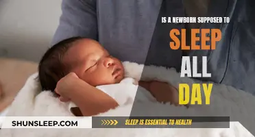 Newborn Sleep: Understanding Their Sleep Patterns and Needs