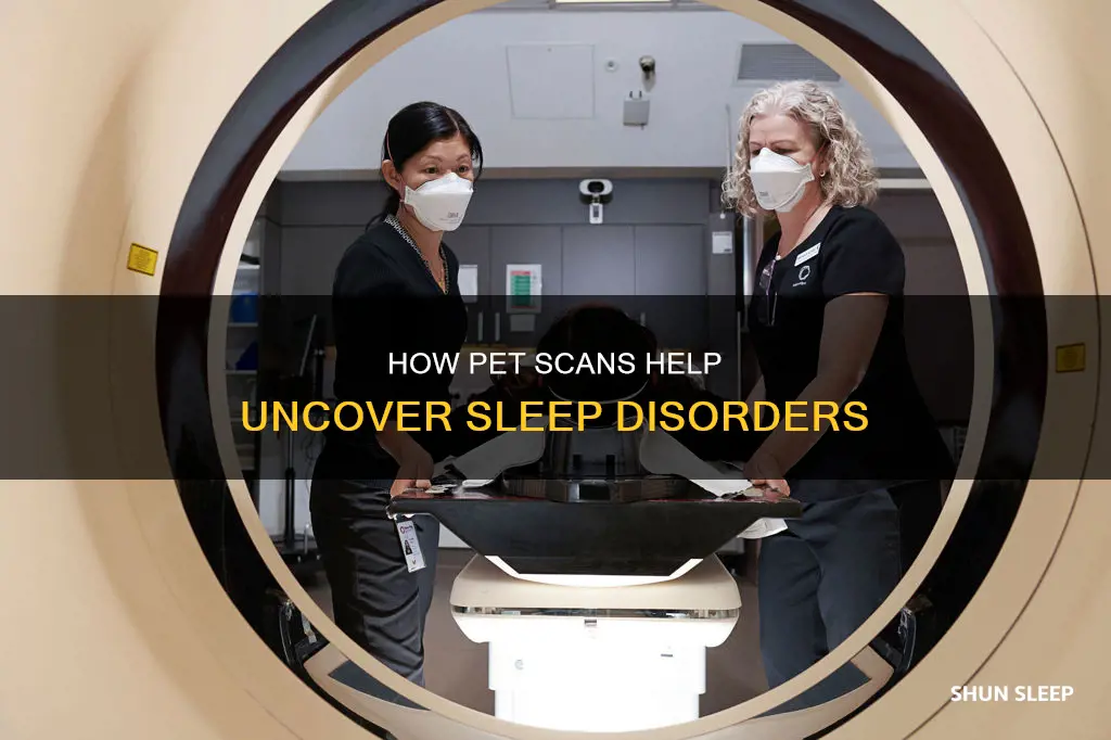 is a pet scan used in sleep study