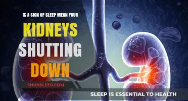 Signs of Kidney Failure: Sleep Disorders and Kidney Health