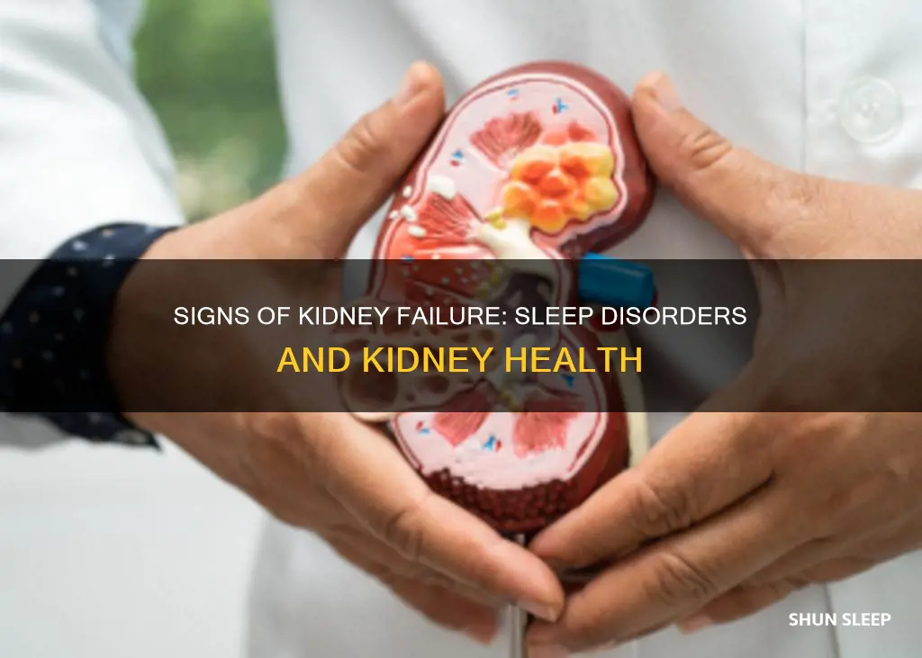 is a sign of sleep mean your kidneys shutting down