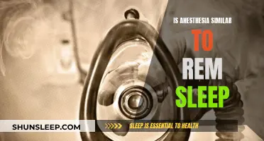 Anesthesia and REM Sleep: Are They Similar States?