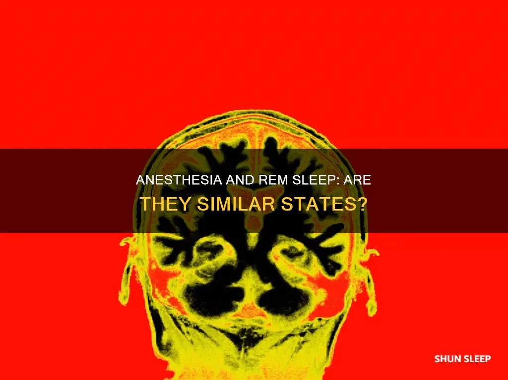 is anesthesia similar to rem sleep