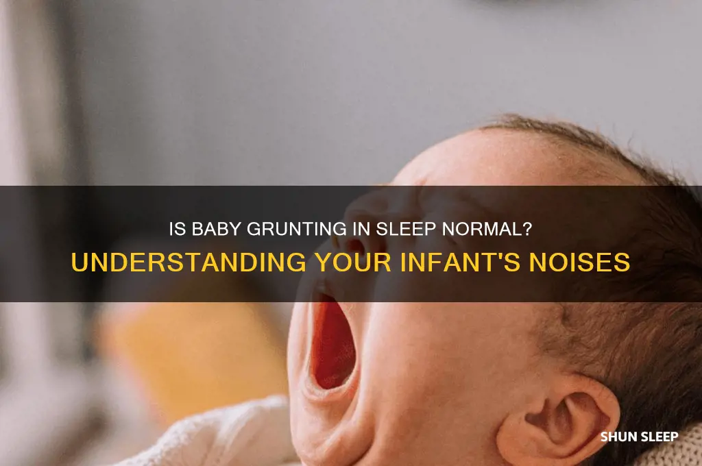 is baby grunting in sleep normal