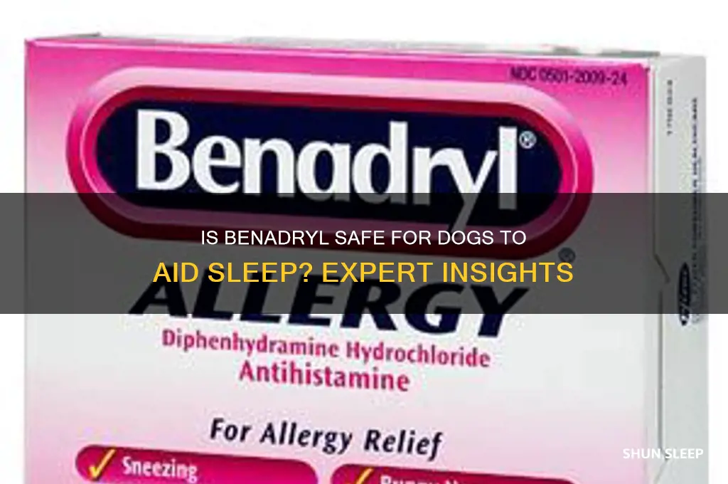 is benadryl safe for dogs to help them sleep