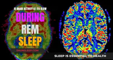 Brain Activity During REM Sleep: Slow or Active?