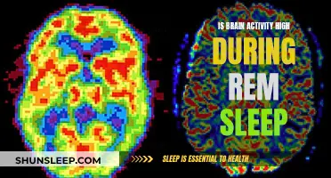 Brain Activity During REM Sleep: What's Happening?