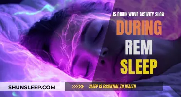 Brain Waves During REM Sleep: Slow or Fast?