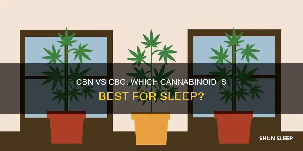 is cbg or cbn better for sleep