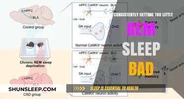 The Hidden Dangers of Chronic REM Sleep Deprivation: What You Need to Know