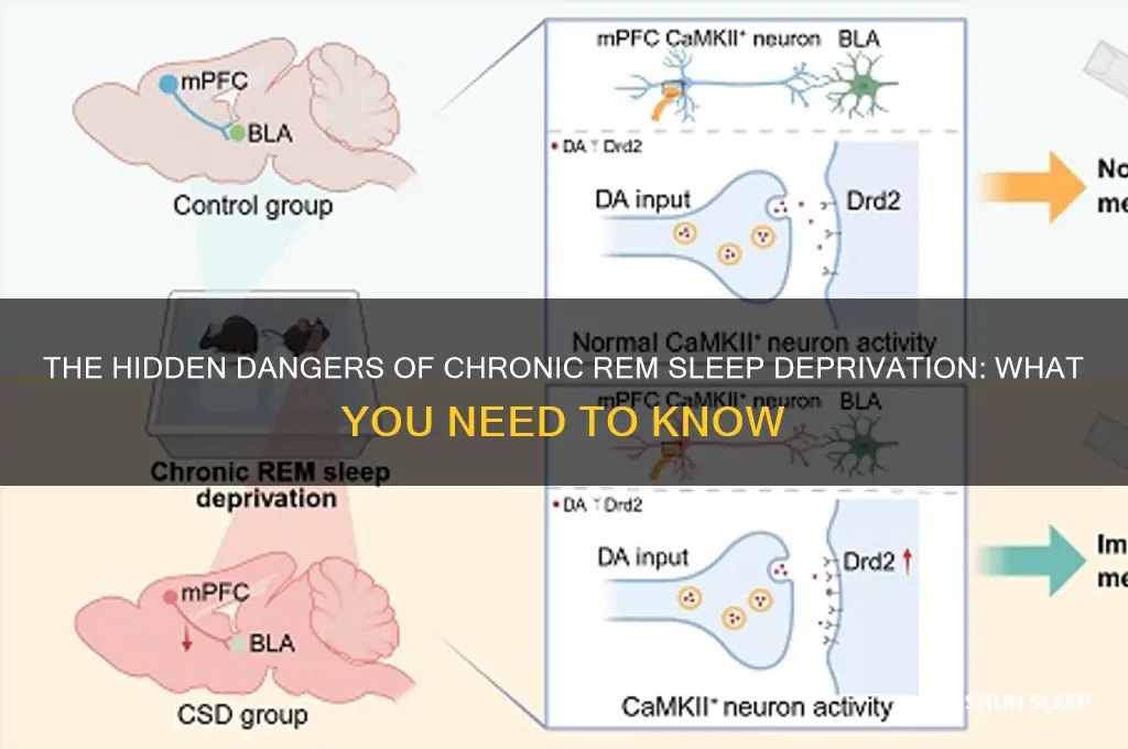 is consistently getting too little rem sleep bad