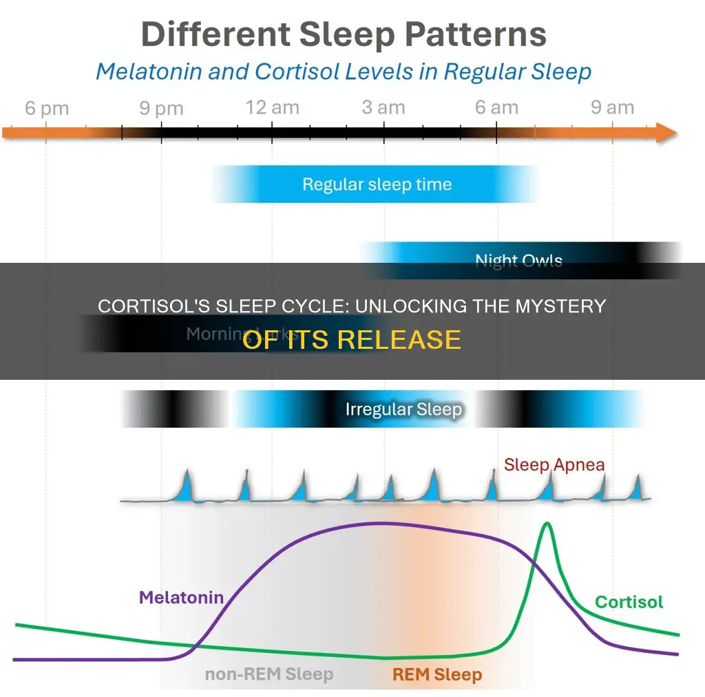 is cortisol released in sleep or wake