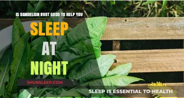 Dandelion Root for Sleep: Natural Remedy or Myth?