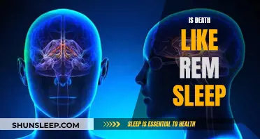 Death and REM Sleep: Similar States?