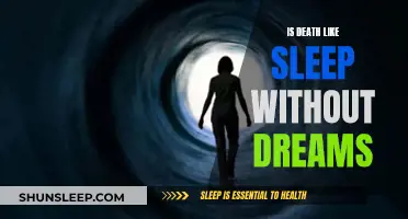Death: A Dreamless Sleep or Something More?