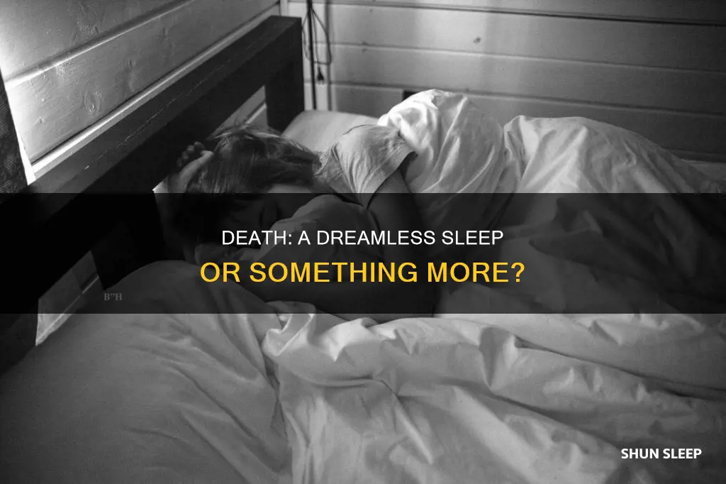 is death like sleep without dreams