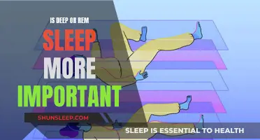 Understanding Deep and REM Sleep: Which is More Vital?