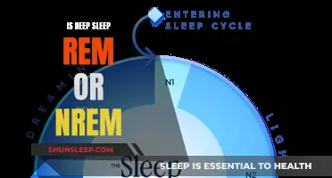 Understanding Deep Sleep: REM or NREM?