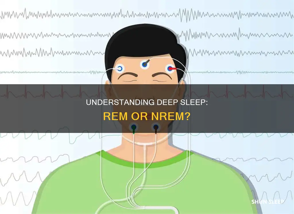 is deep sleep rem or nrem