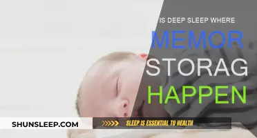 Deep Sleep: Memory Storage and Brain Function