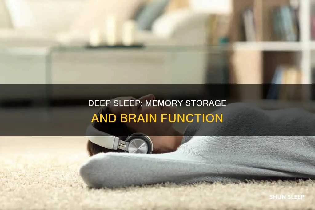 is deep sleep where memory storage happens