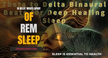 Delta Waves and REM Sleep: What's the Connection?