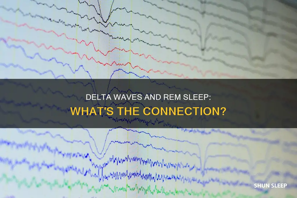 is delat waves apart of rem sleep