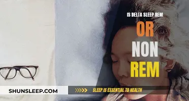 Understanding Delta Sleep: REM or Non-REM?