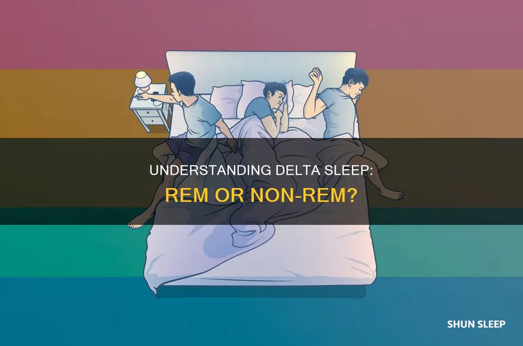 is delta sleep rem or non rem