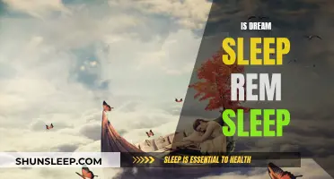 Dream Sleep: Understanding the REM Sleep Stage