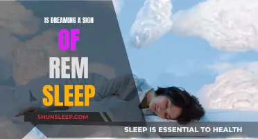 Dreaming and REM Sleep: What's the Connection?