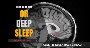 Dreaming: REM Sleep or Deep Sleep?