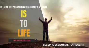 Life's Core: Eat, Sleep, Work, Love