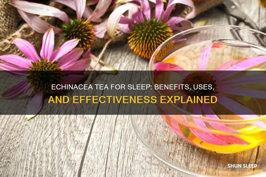 is echinacea tea helps sleep