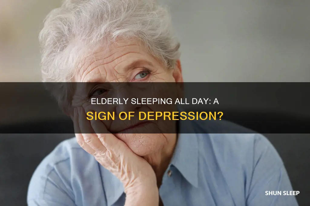 is elderly sleeping all day depression