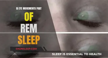 Eye Movements: Understanding Their Role in REM Sleep