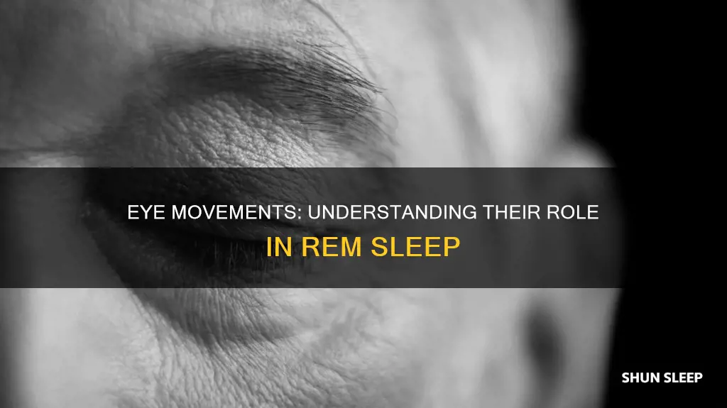 is eye movements part of rem sleep