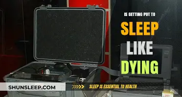 Is Being Put to Sleep Like Dying? Exploring the Truth