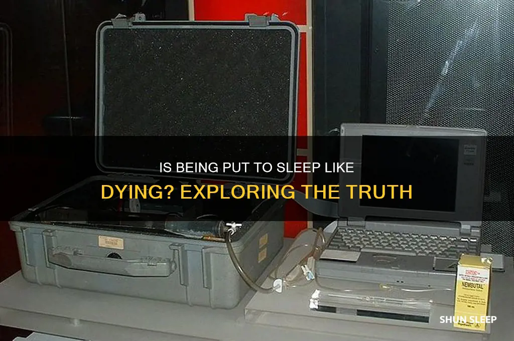 is getting put to sleep like dying