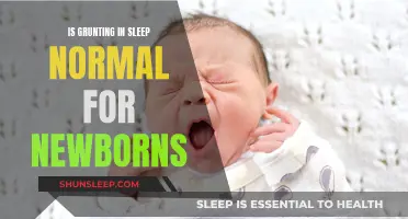 Grunting in Sleep: What Newborn Parents Should Know