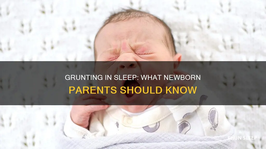 is grunting in sleep normal for newborns