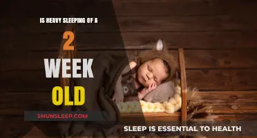 Newborn Sleep: Heavy Sleeping Patterns Explained