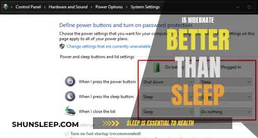 Hibernate or Sleep: What's the Difference?