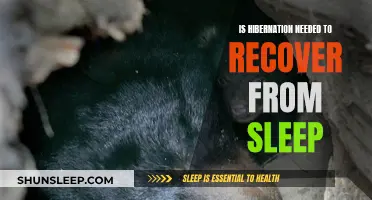 Hibernation's Sleep Recovery: Is It Necessary?