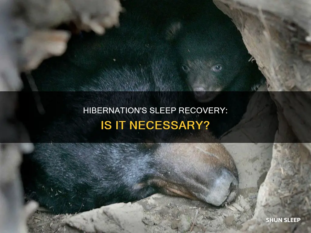 is hibernation needed to recover from sleep