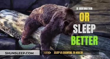 Hibernation vs Sleep: Which is Better?