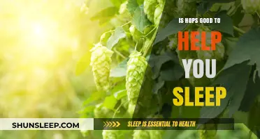 Hops and Sleep: Can This Natural Remedy Improve Your Rest?