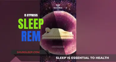 Hypnosis vs Sleep: REM State or Conscious Trance?