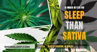 Indica vs Sativa: Which is Better for Sleep?