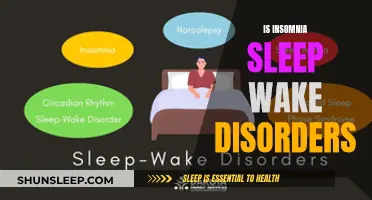 Unraveling the Mystery: Insomnia and the Sleep-Wake Disorder Enigma