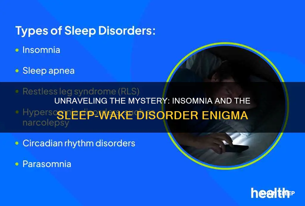 is insomnia sleep wake disorders